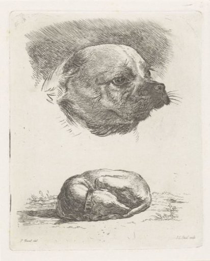 Head of a pug and Sleeping Dog