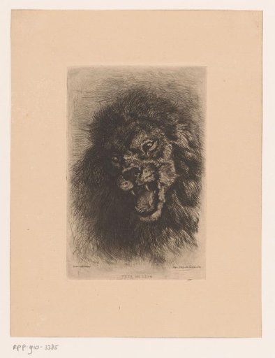 Lion's Head