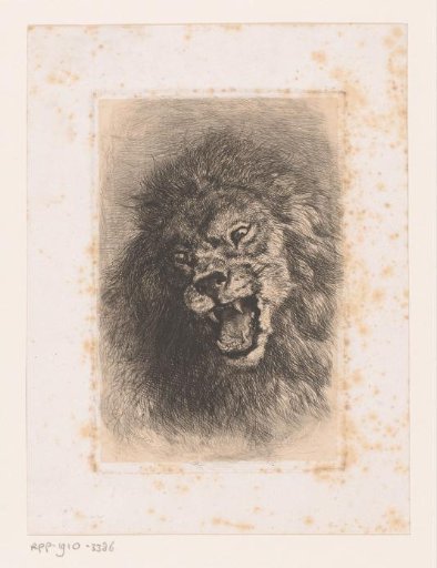 Lion's Head