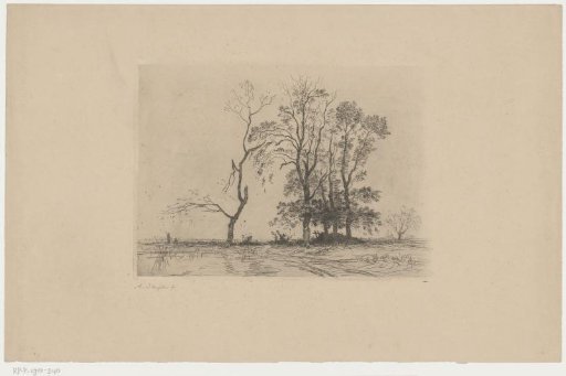 Five trees by a pool