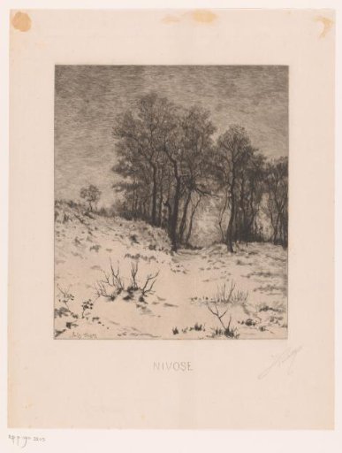 Winter Landscape