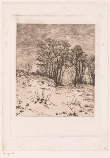 Winter Landscape