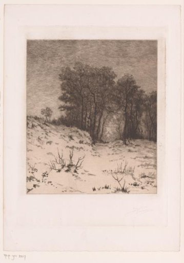 Winter Landscape