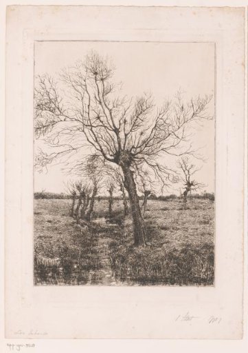 Landscape with Willows by a Stream