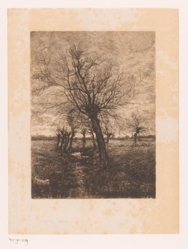 Landscape with Willows by a Stream