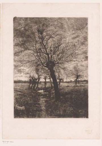 Landscape with Willows by a Stream