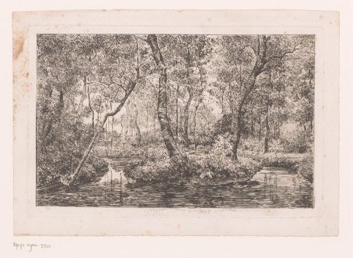Forest Landscape with Stream