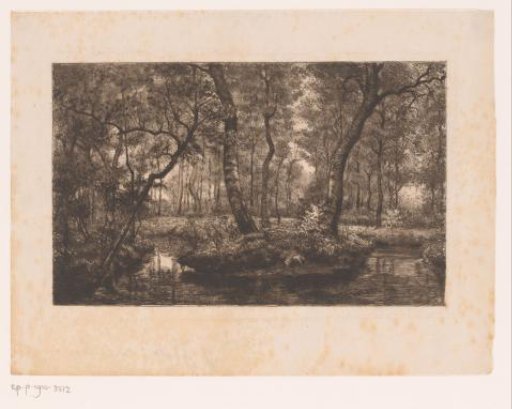 Forest Landscape with Stream