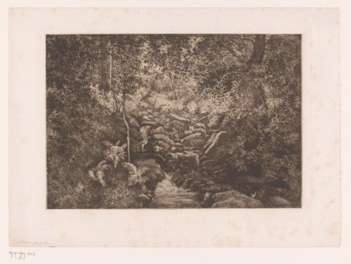 Spring of a Stream in the Forest