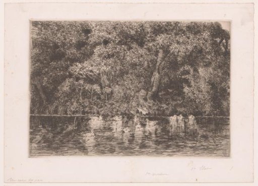 Pond with Ducks
