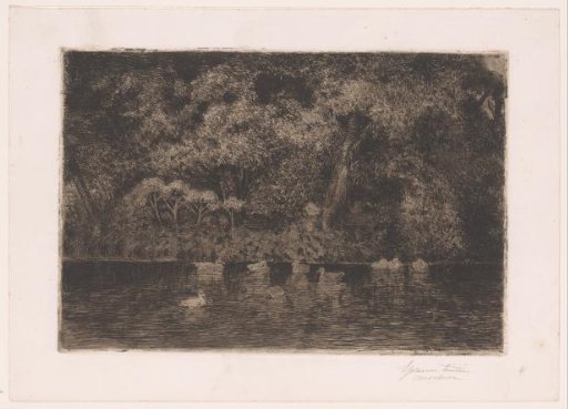 Pond with Ducks