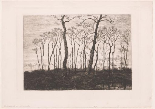 Twilight in Winter