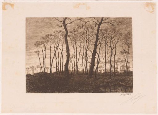 Twilight in Winter
