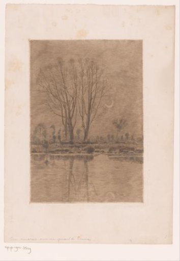 Pond by Moonlight
