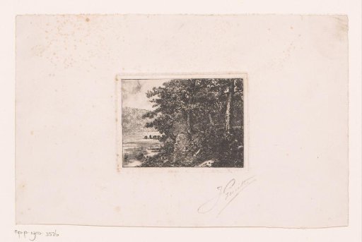 Landscape with Forest at the Edge of a Lake