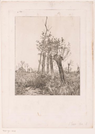 Winter Landscape with Willows