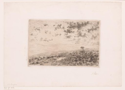 Heath Landscape at Twilight