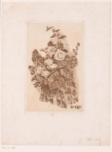 Flower Still Life