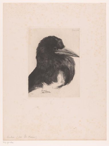 Raven