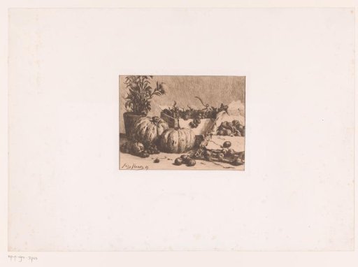 Still Life