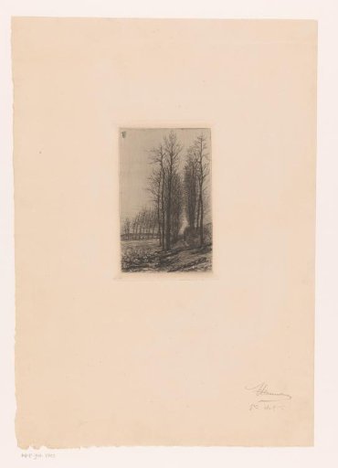Avenue with Trees, Tree Trunks in the Foreground