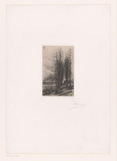 Avenue with Trees, Tree Trunks in the Foreground