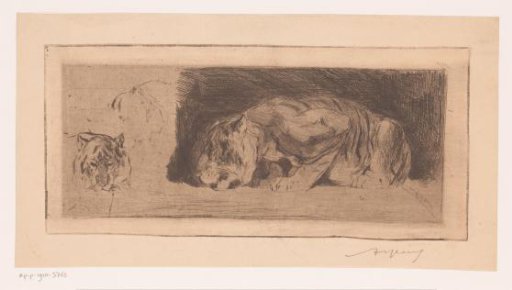 Study sheet with tigers