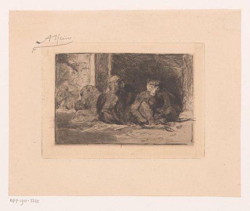 Group of monkeys in an enclosure