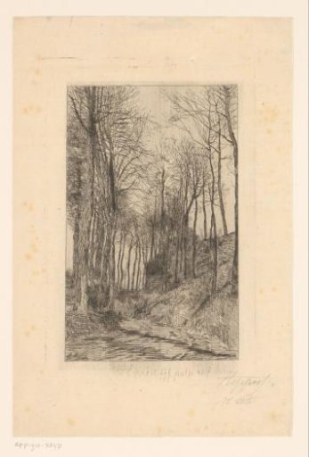 Country road along hills with trees