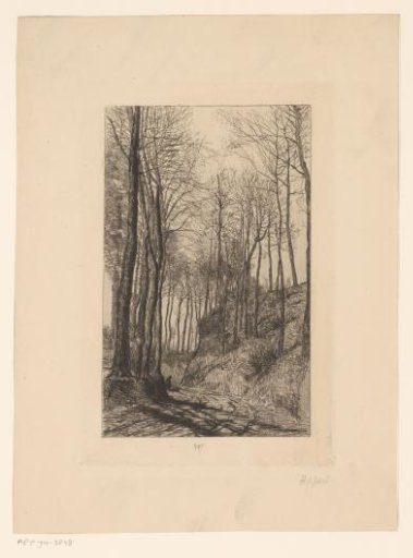 Country road along hills with trees