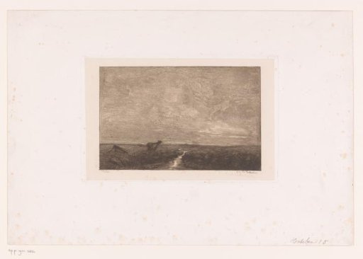 Night landscape with a cow by a stream