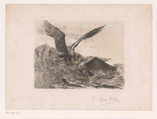 Two Eagles in a Mountain Range
