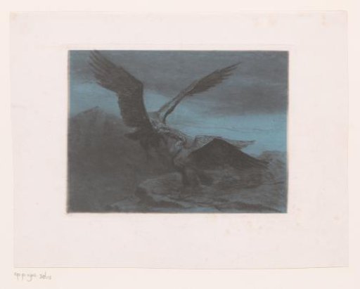 Two Eagles in a Mountain Range