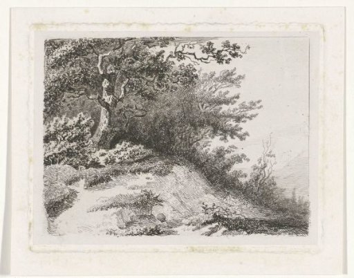 Tree on a Hill