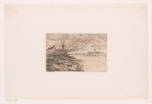 Willow in front of a farmhouse on the left bank of a river