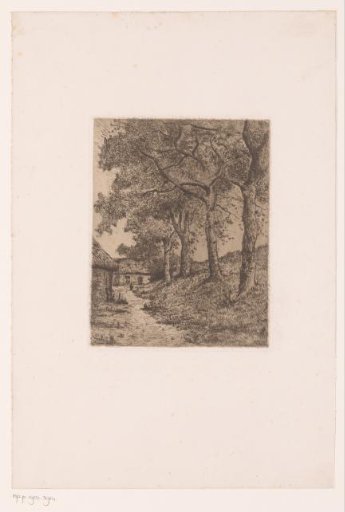 Row of trees near a farmhouse