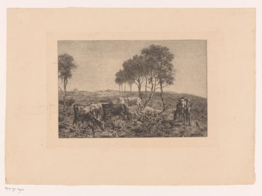 Group of cows and a figure in a landscape