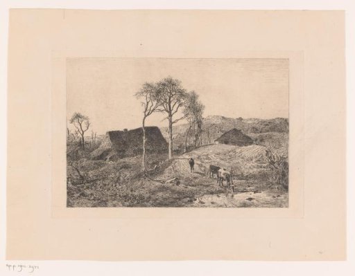 Drinking cow in a landscape with two farms