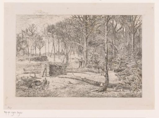 Woodcutter in the forest
