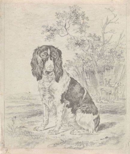 Sitting Partridge Dog
