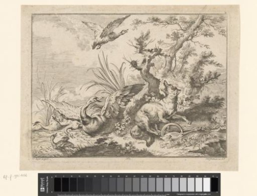 Wolf in a trap with a goose and ducks