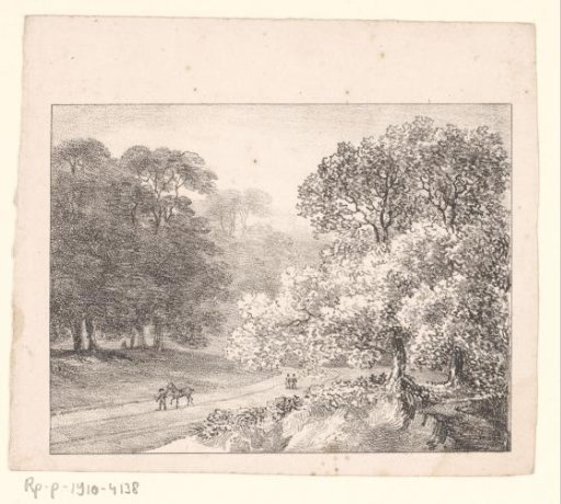The forest at Windsor