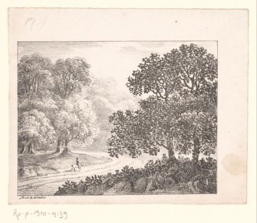 The forest at Windsor