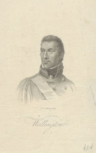 Portrait of Arthur Wellesley, Duke of Wellington