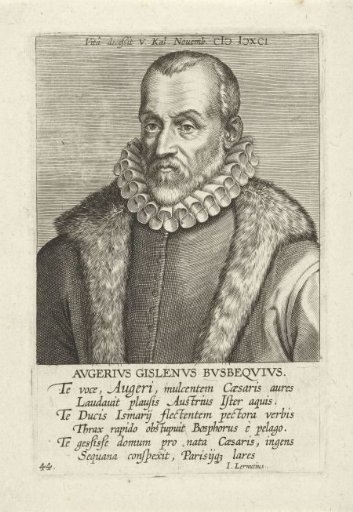 Portrait of Ogier Ghislain de Busbecq
