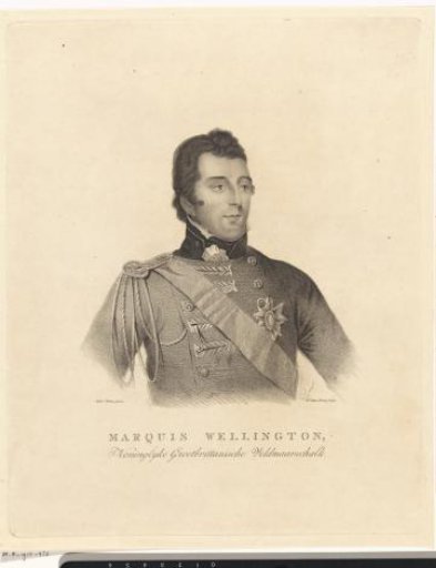 Portrait of Arthur Wellesley, Marquess of Wellington