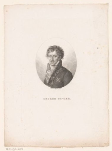 Portrait of Georges Cuvier