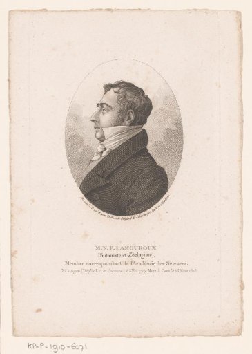 Portrait of Jean Vincent Félix Lamouroux