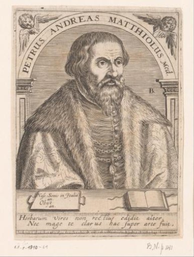 Portrait of Pietro Andrea Mattioli