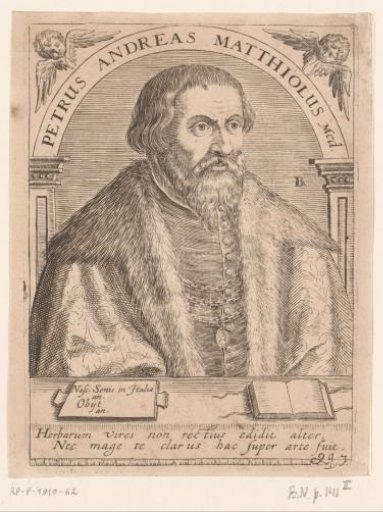 Portrait of Pietro Andrea Mattioli